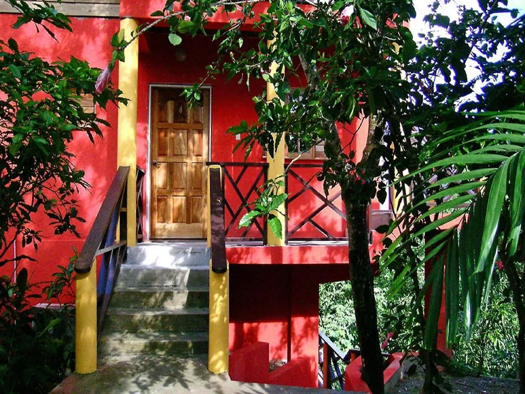 Bay View Eco Resort & Spa Πορτ Αντόνιο 3*,