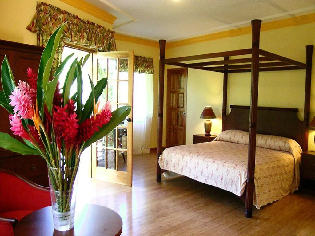 Bay View Eco Resort & Spa Πορτ Αντόνιο Ξενοδοχείο